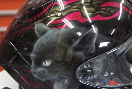 ショーエイ X-fifteen【リーフと黒猫】のサムネイル画像