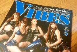 VIBES 2017 5月号 Vol.283のサムネイル画像