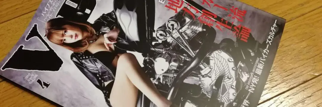 VIBES 2019 4月号 Vol.306のサムネイル