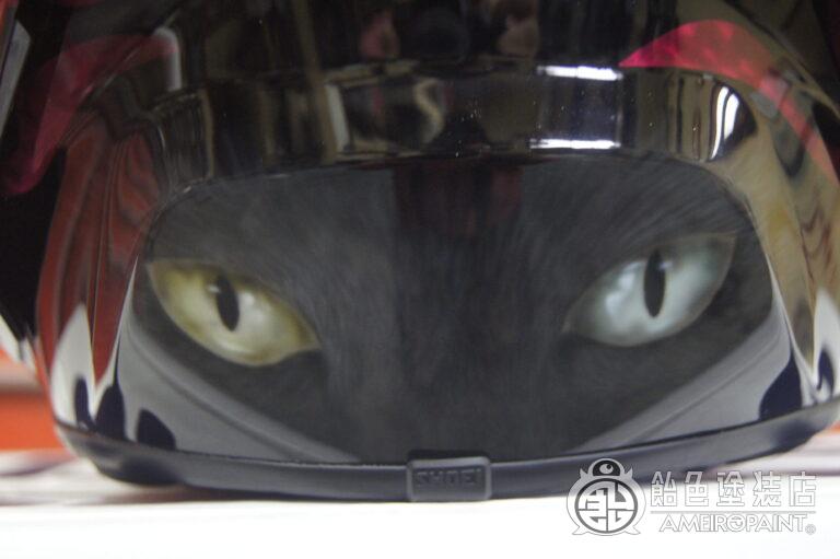 完全に抜かされるとオッドアイの黒猫が睨みを効かせます。