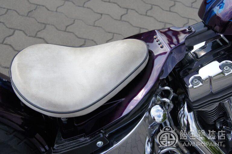 M-040  H-D 04FXSTD [Mohawk Fender]