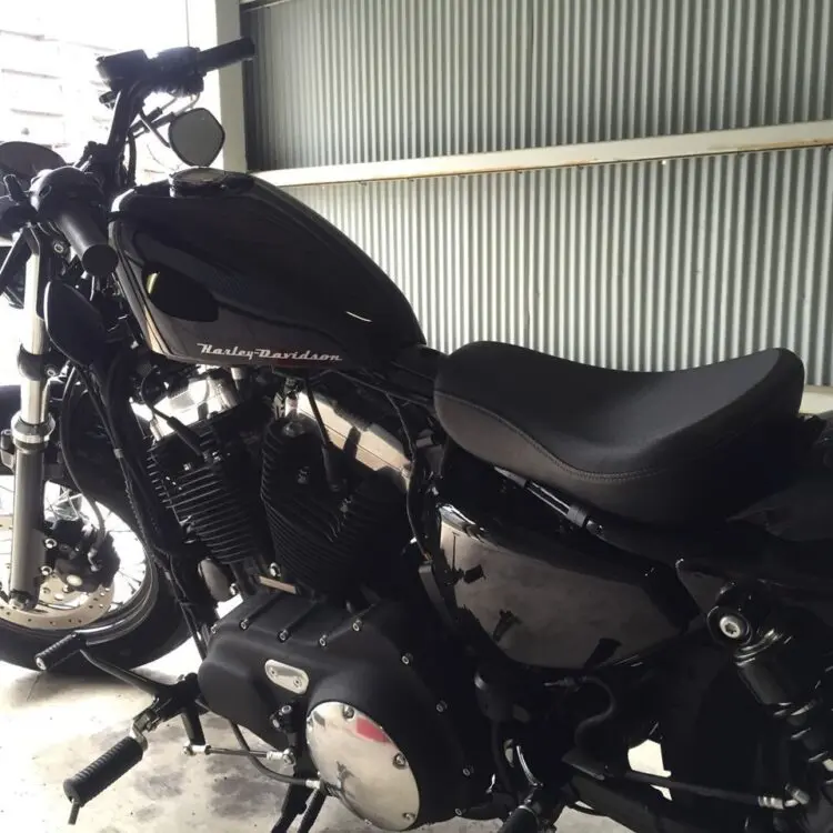 カスタムペイント ハーレー スポーツスター シルバーフレークロゴ