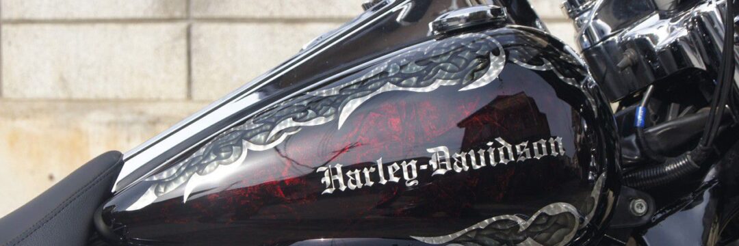 ハーレー 04FLHRC【リーフ グラフィック】のサムネイル