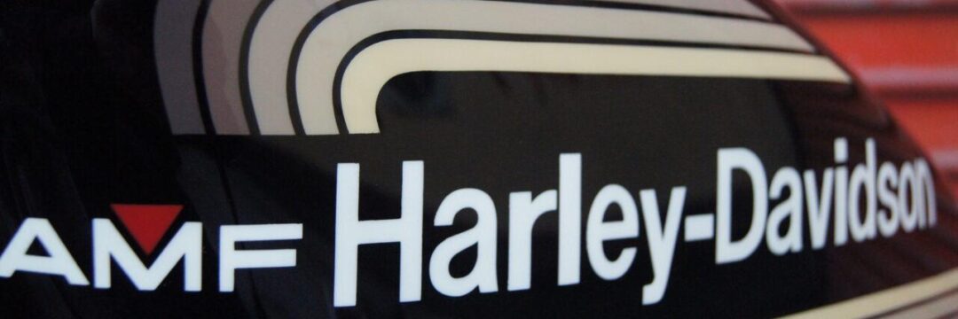 ハーレー スポタン【ブラウンレインボー】のサムネイル