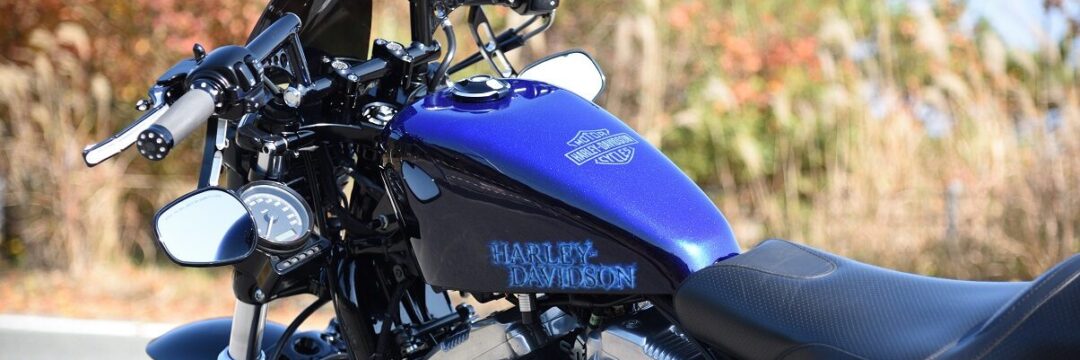 ハーレー 社外スポタン【ハーレーロゴ エアブラシ】のサムネイル