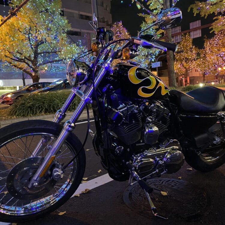 ハーレー スポタン【リボンのグラフィック】のサムネイル画像