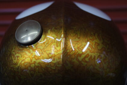 スポーツスター【バリエゲーテッドリーフ スキャロップ】のサムネイル画像