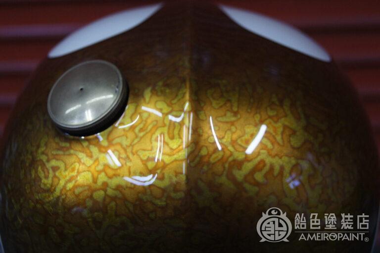 スポーツスター【バリエゲーテッドリーフ スキャロップ】