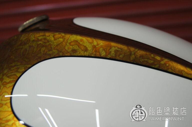 スポーツスター【バリエゲーテッドリーフ スキャロップ】