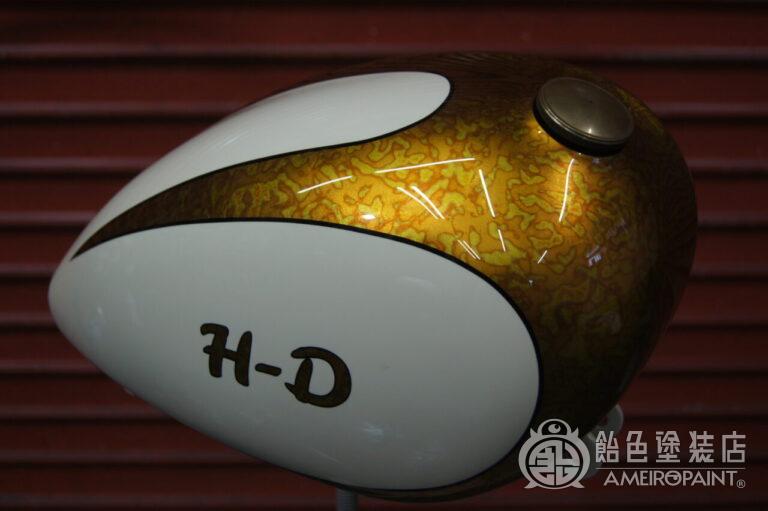 スポーツスター【バリエゲーテッドリーフ スキャロップ】