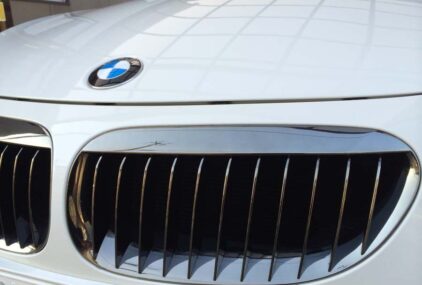 O-047  BMW GRILLE [Color-Clear-Black]
