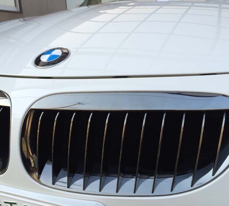 BMW グリル【メッキ オン カラークリアー】のサムネイル画像