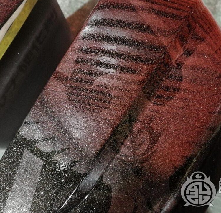 カスタムペイント工程　TRACER9 BAG 【MTロゴと赤い奴】のサムネイル画像