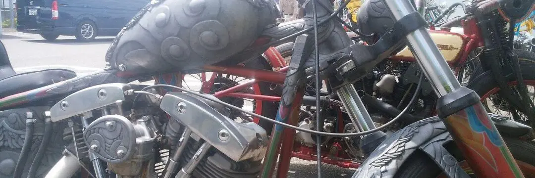 ニューオーダーチョッパーショー　2017のサムネイル