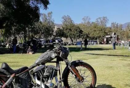 またまたまたのアメリカ 2 ボーンフリーのサムネイル画像