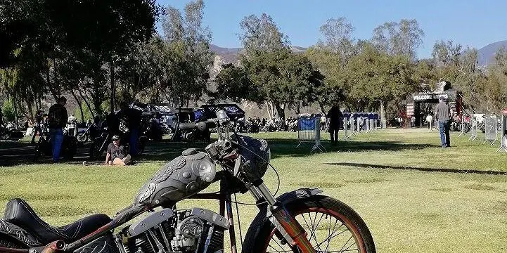 またまたまたのアメリカ ２　ボーンフリーのサムネイル