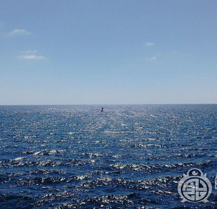 またまたまたのアメリカ 3 ありがとうございました!!のサムネイル画像