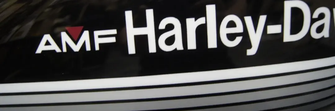 ハーレー 純正スポタン【グレーレインボー】のサムネイル