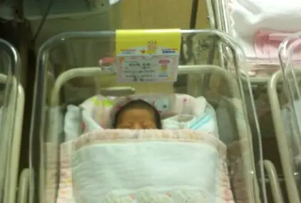 どっしりしてるな～のサムネイル画像