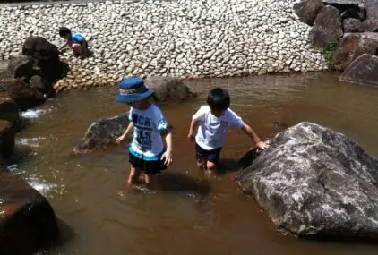 ランチで山麓のサムネイル画像