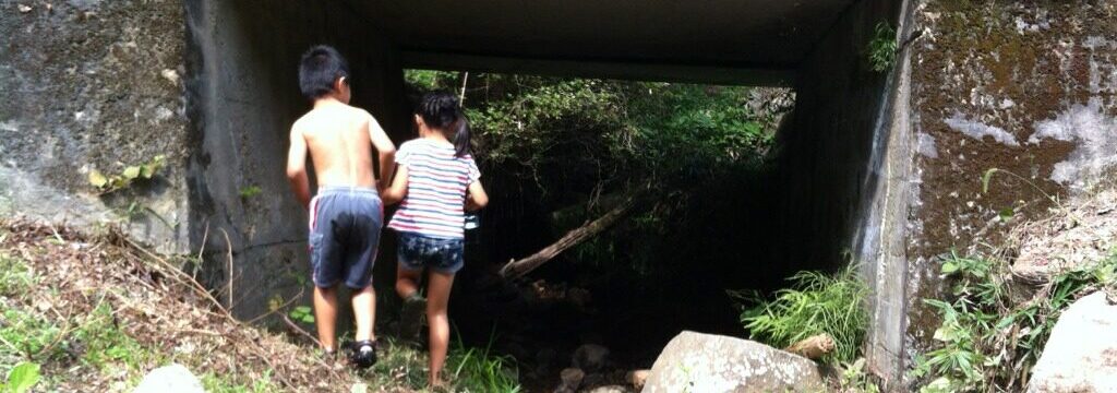 キャンプのサムネイル