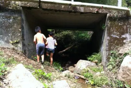 キャンプのサムネイル画像