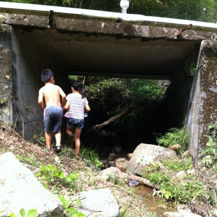 キャンプのサムネイル画像