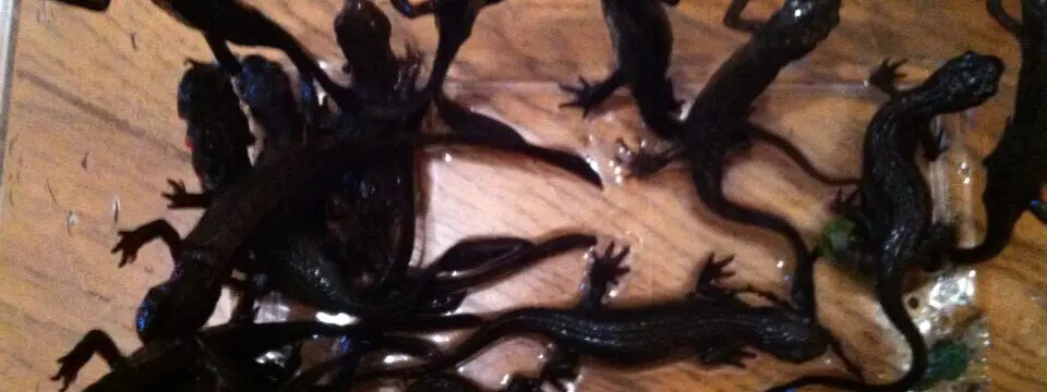 御杖村のサムネイル