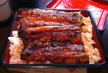 家族旅行 1日目のサムネイル画像