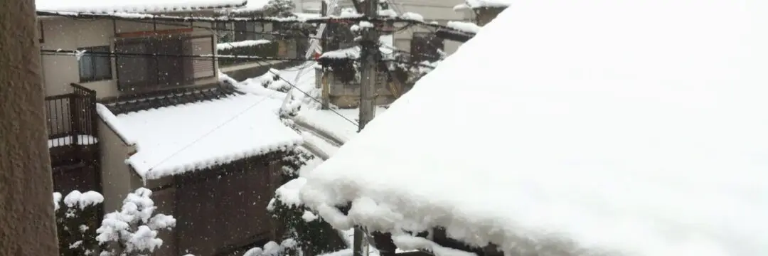 ずんずんのサムネイル