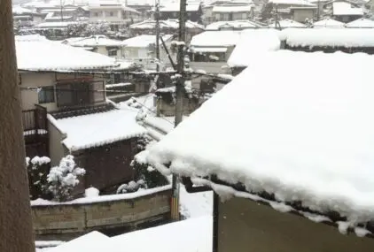 ずんずんのサムネイル画像