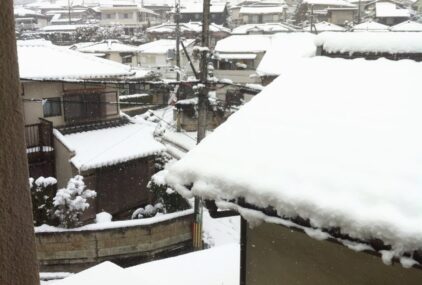 ずんずんのサムネイル画像