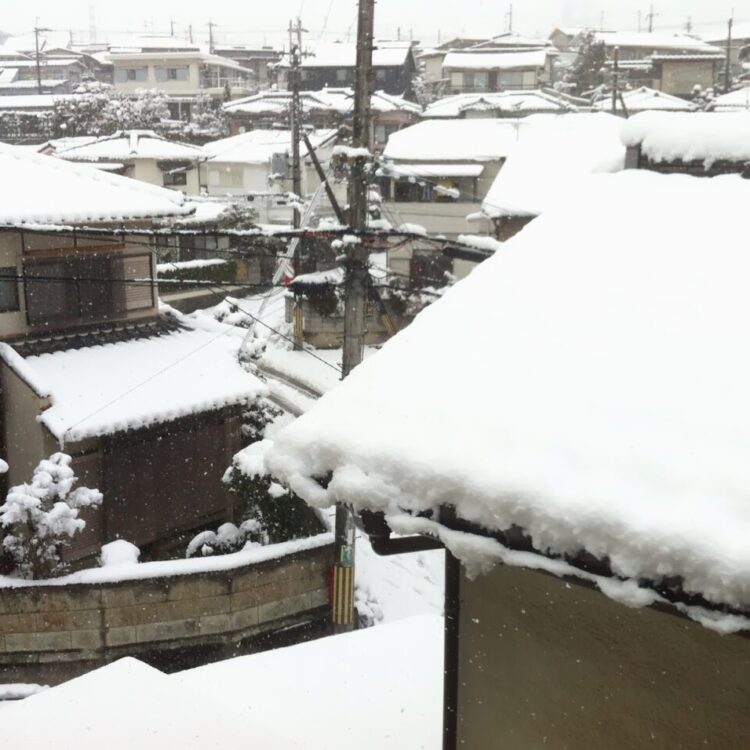 ずんずんのサムネイル画像