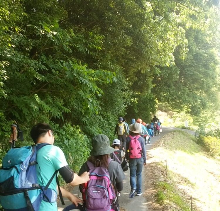 学童の登山のサムネイル画像