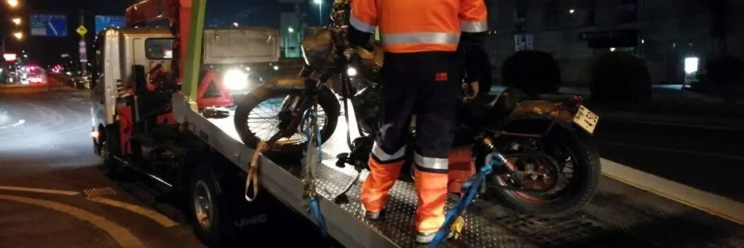 JOINTS CUSTOM BIKE SHOW 2019のサムネイル