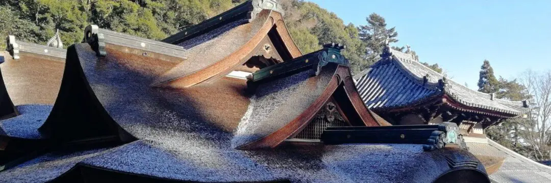 2022スタート！のサムネイル